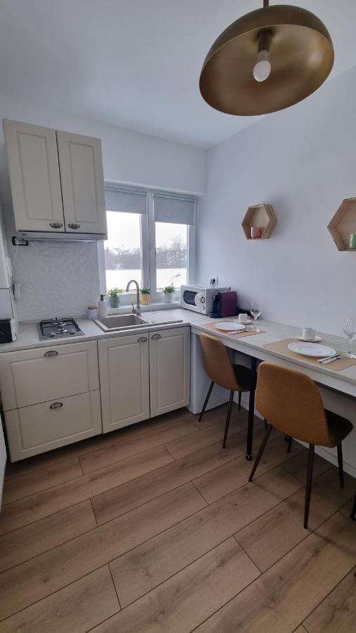 Central Residence Bacău エクステリア 写真
